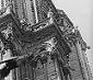 gargoyles Notre Dame